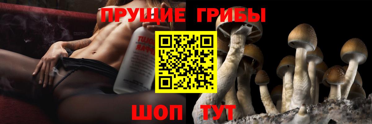Ялта  Галлюциногенные грибы прущие грибы  Вход с VPN 